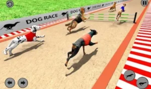 Đua Chó Tại BJ88