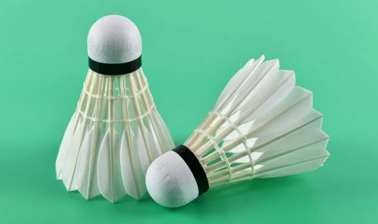 Thống Lĩnh Sân Cầu Với Cách Chơi Cá Cược Cầu Lông Tại BJ88 1 Cầu Lông Tại BJ88