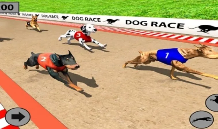 Cách chơi game nhanh Đua Chó Tại BJ88