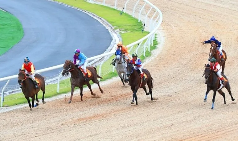 Bùng Nổ Cảm Xúc Với Cá Cược Đua Ngựa BJ88 Đỉnh Cao 2 Cần tìm hiểu kỹ về bộ môn đua ngựa BJ88 trước khi cá cược